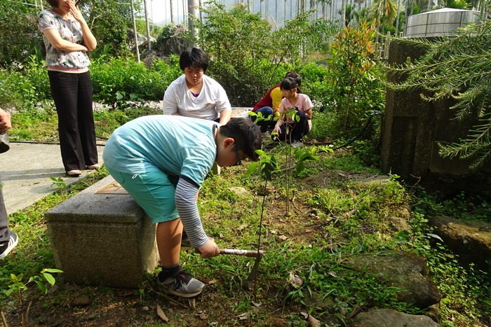 圖片說明